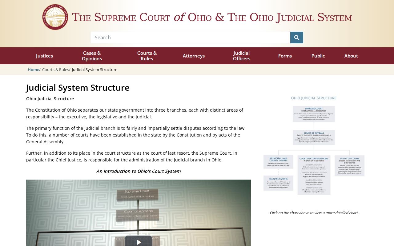 Fulton County court docket Ohio court structure reference